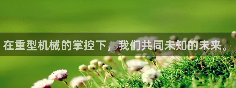 龙八国际网址是多少