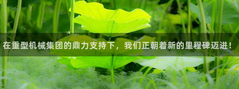 龙八国际下载全部收藏pity
