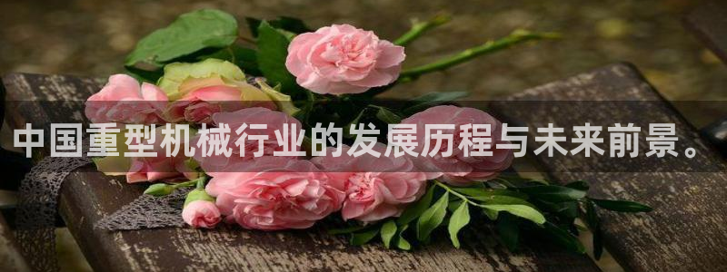 龙八国际是个什么游戏机