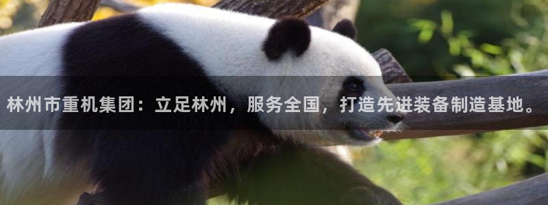 龙八国际手机版