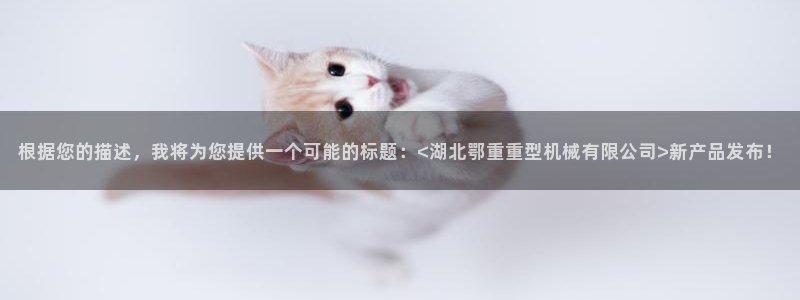 龙八国际网q18点tv