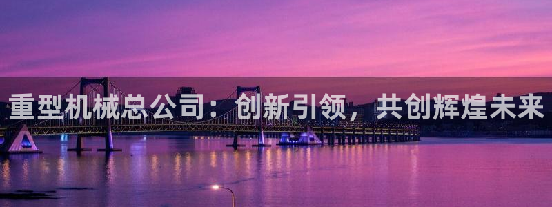 龙八国际p