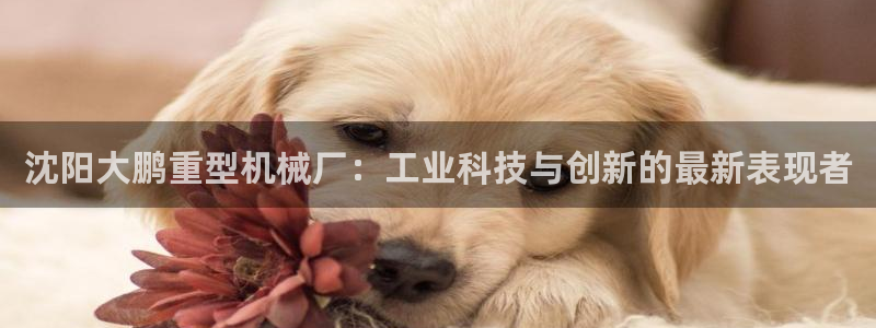 龙八国际官方娱乐网站com