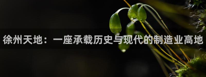 龙八国际苹果版下载