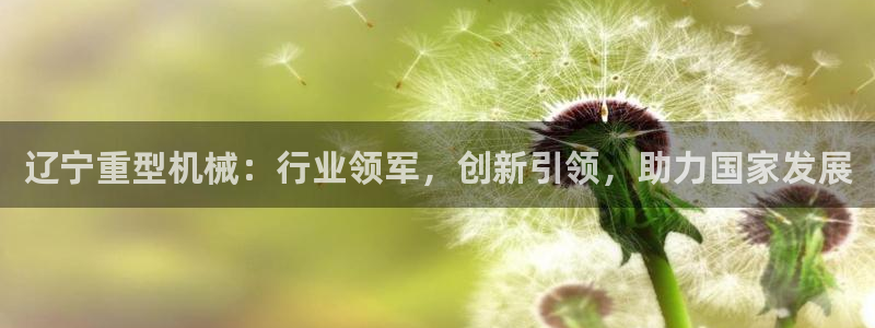 龙八国际官网手游
