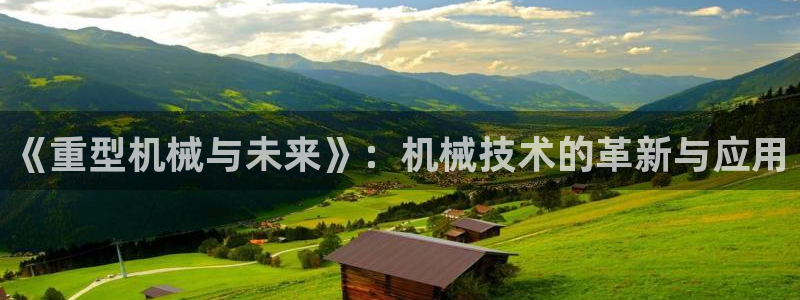 龙八国际公司是真是假