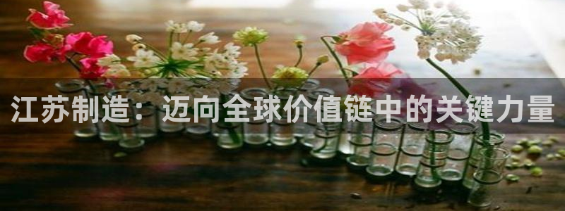 龙八国际手机游戏官网