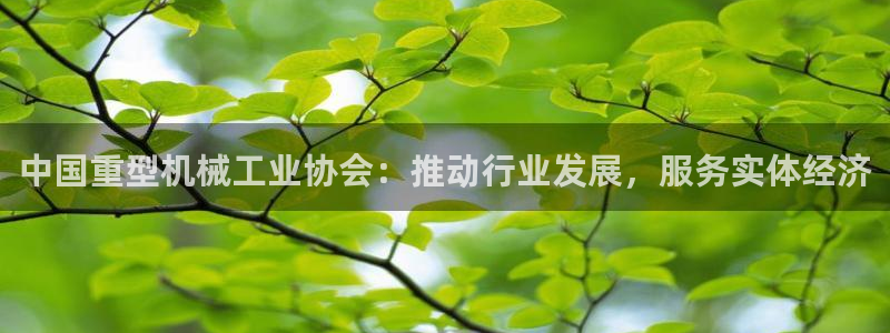 龙八国际官网首页网页版