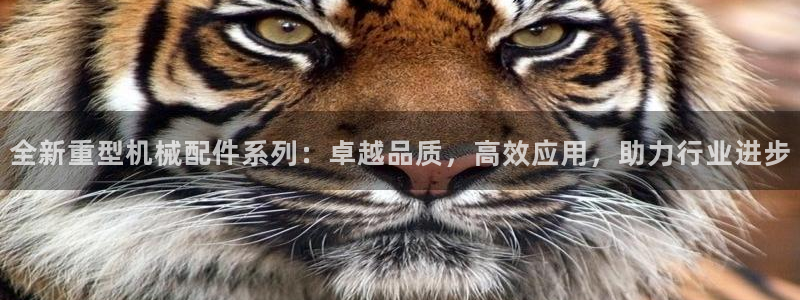 龙八国际是个什么游戏