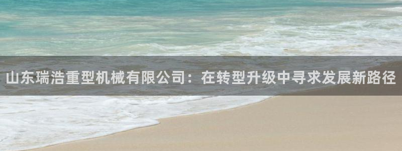 正规龙八国际