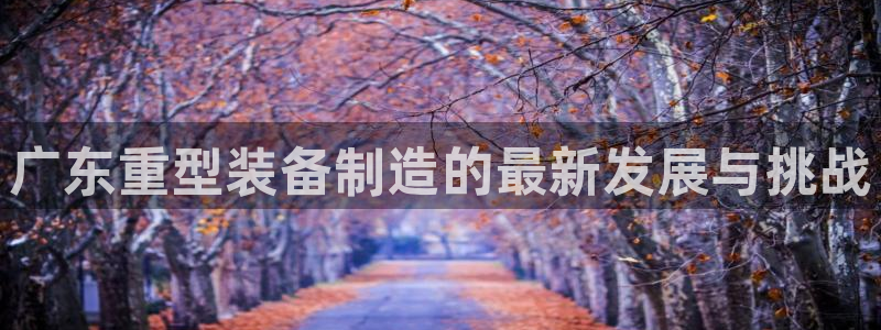 龙八国际手机客户端