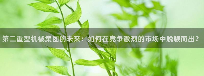 龙八国际手机版官方版app下载