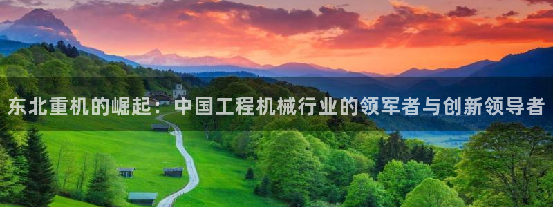 龙八国际刘佳烨