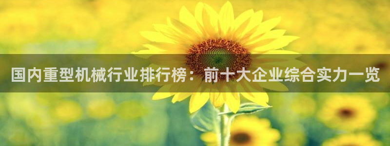 l龙八国际