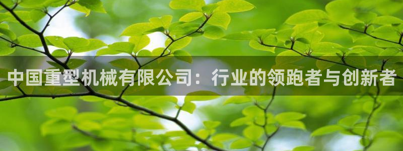 龙八国际官网手游