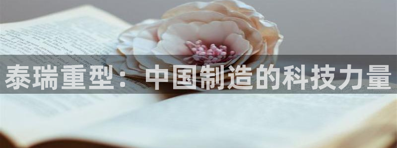 龙八国际娱乐靠谱吗