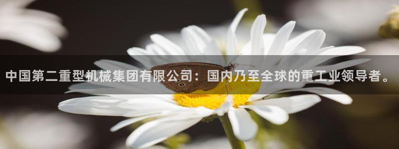 下载龙八国际网站