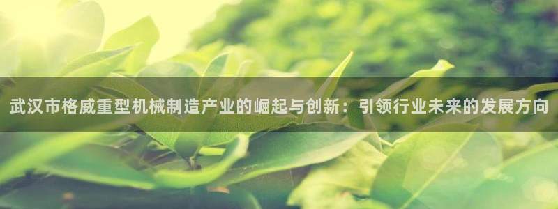 龙八国际技巧