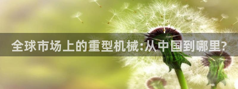 龙八国际害死多少人
