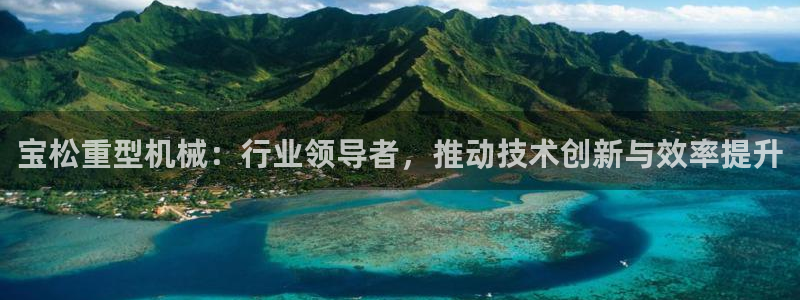 龙八国际官方娱乐网站com