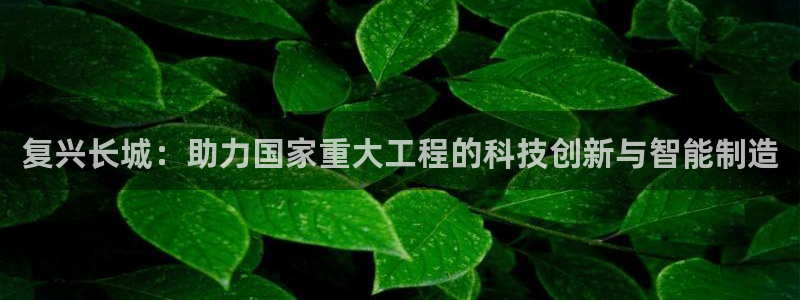龙八国际代理app