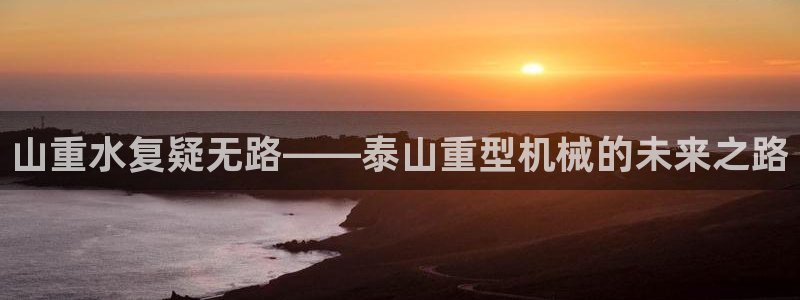 龙八国际网页版本