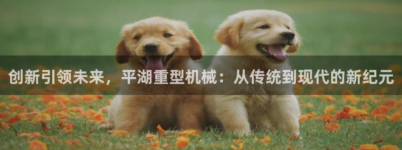 龙八国际pt客户端
