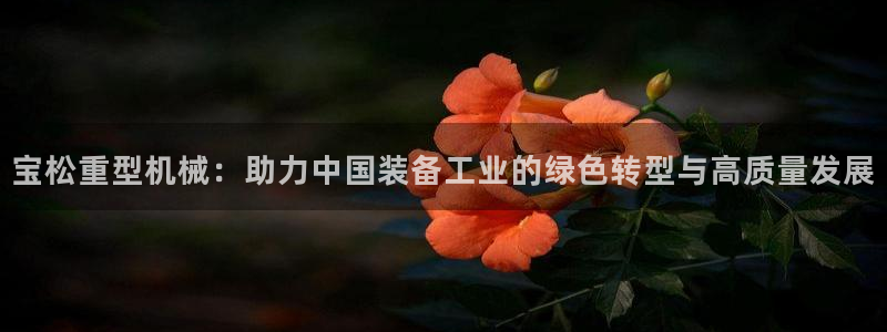 龙八国际地址