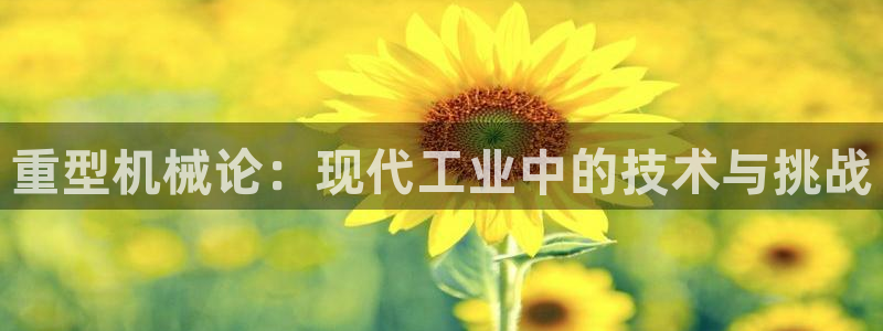 龙八国际优惠券