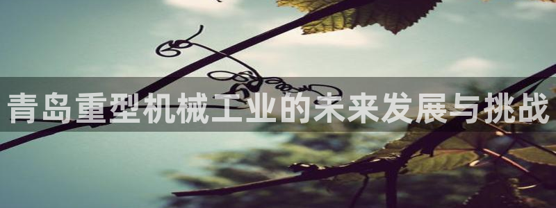 龙八国际pt老虎机官网