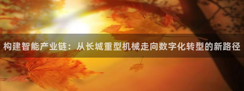 龙八国际app