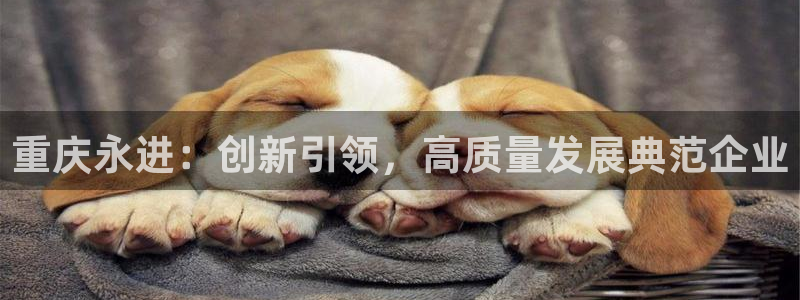 龙八国际官方娱乐网站com
