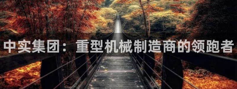 龙八国际网页long8868