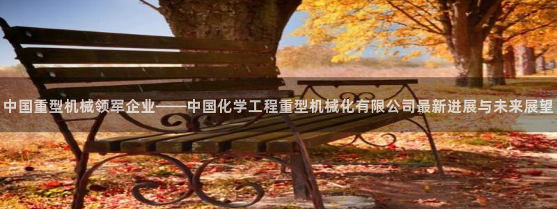 龙八国际 官网
