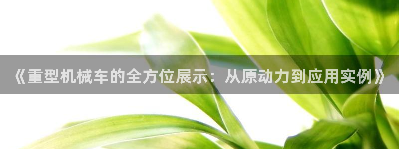 龙八国际图片