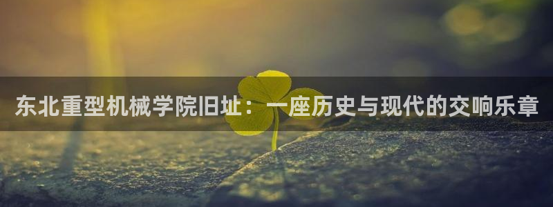 龙八国际电话