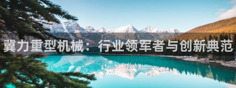 龙八国际城网站