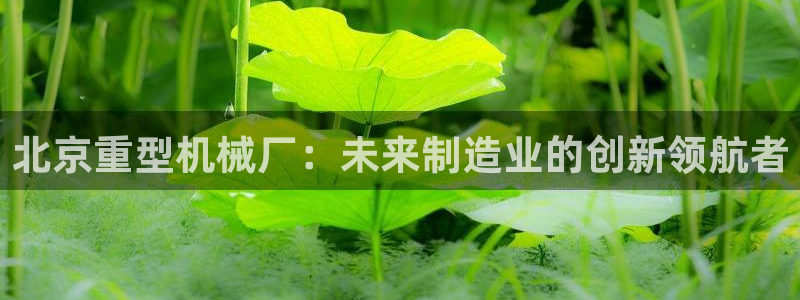 龙八国际城客运站电话