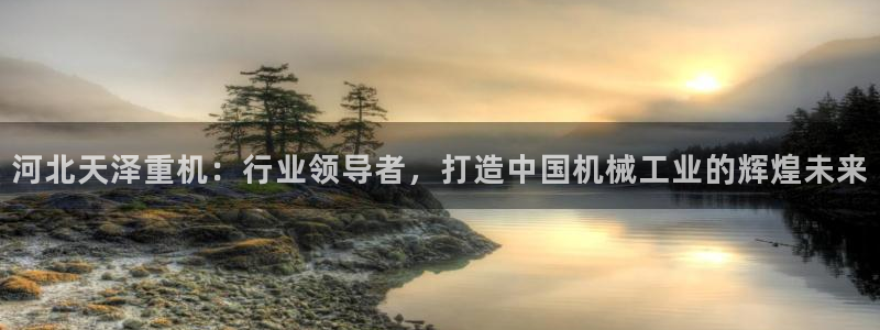 龙八国际官方网站手机版