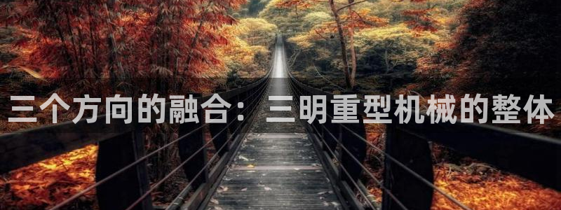 龙八国际软件下载