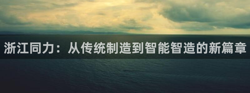 龙八国际电子游戏