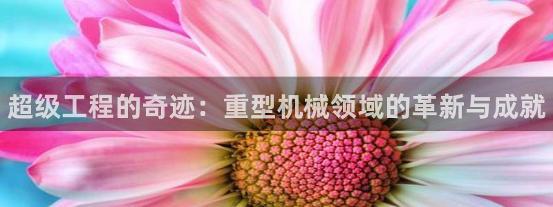 龙八国际官网入口