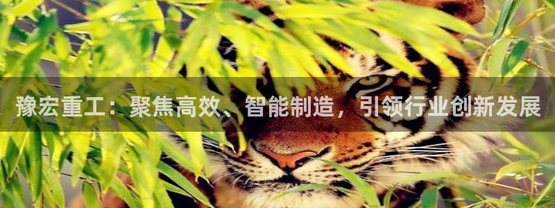 龙八国际娱手机