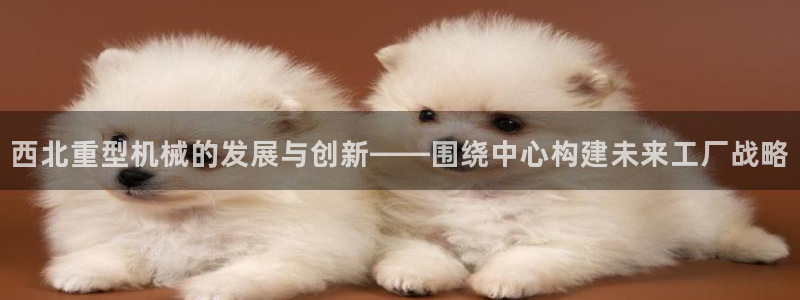 龙八国际电话