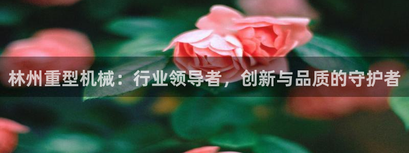 龙八国际官网手机端