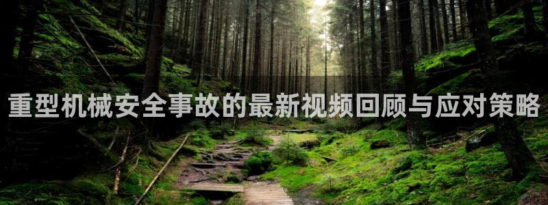 龙八国际服官网下载