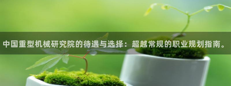 龙八国际娱手机