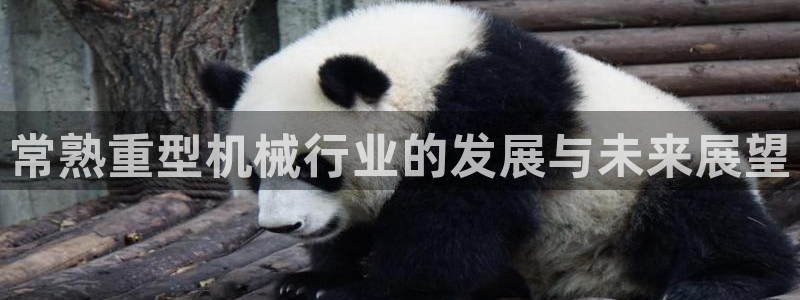 龙八国际官方下载