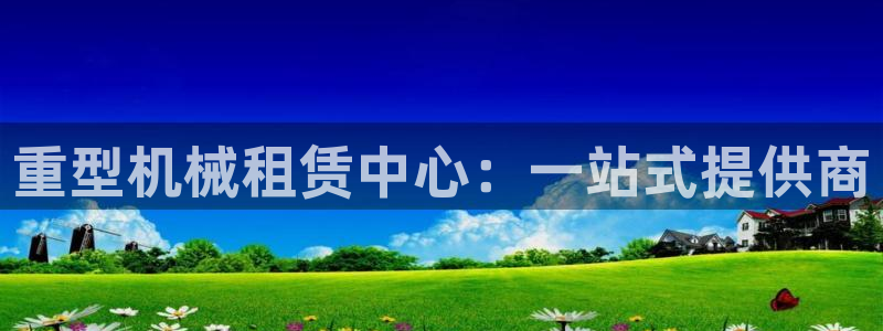 龙八国际股票