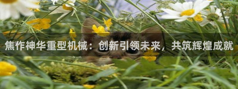 龙八国际娱乐网站多少
